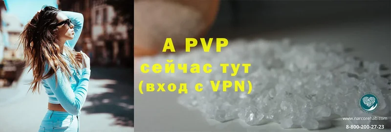 A-PVP СК КРИС  Кадников 